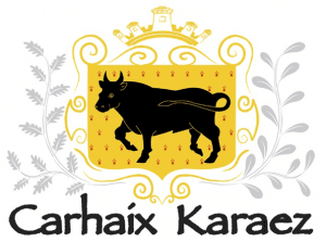 Ville de Carhaix