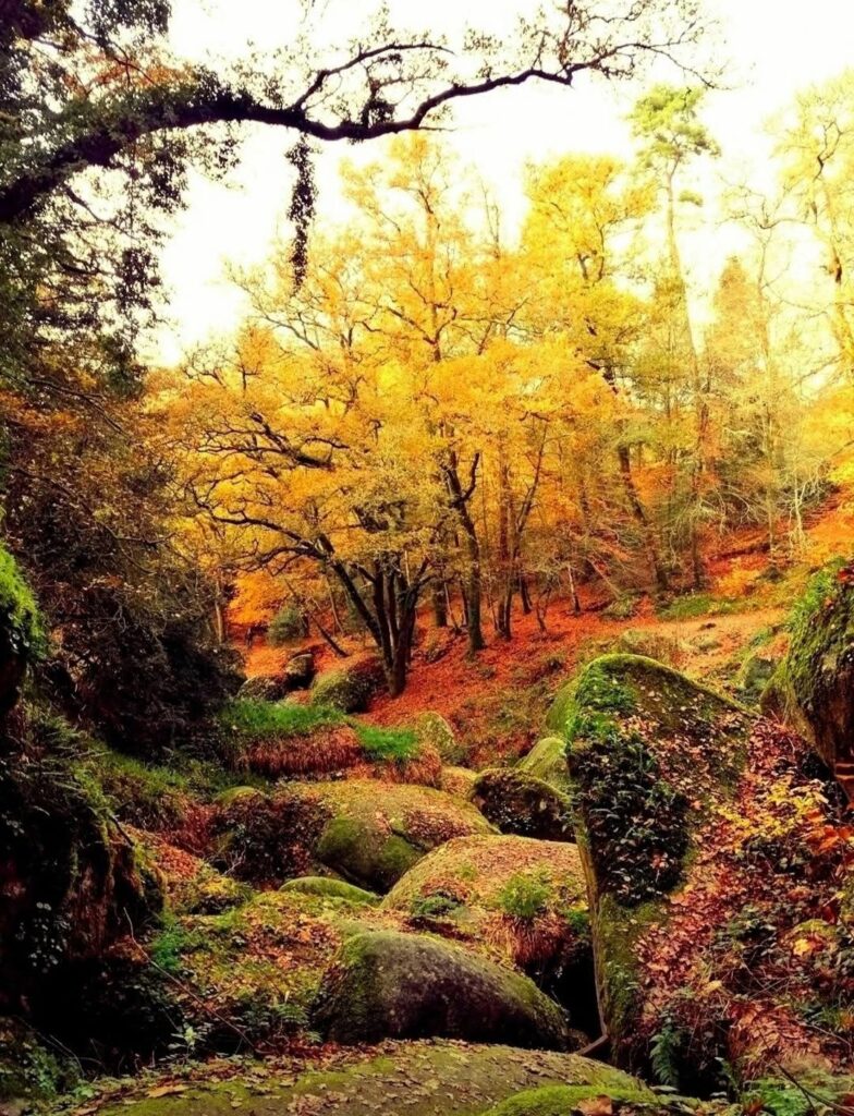 Photographies d’Humbert Puigcerver